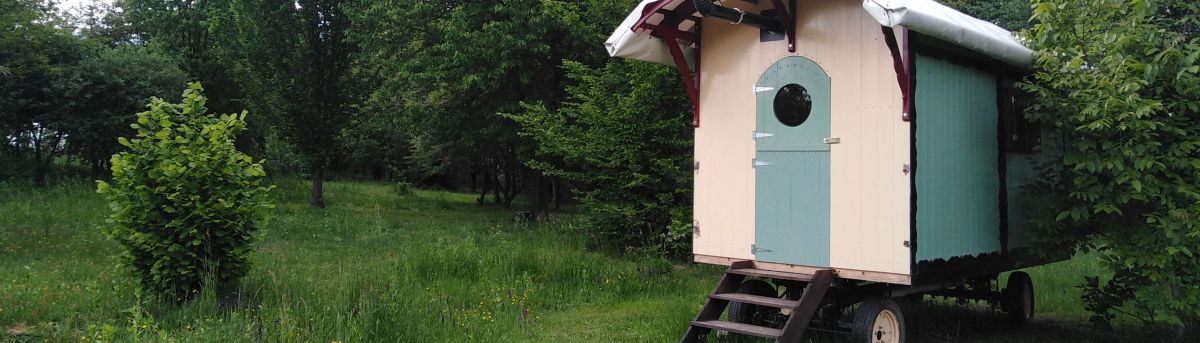 Camping in nature